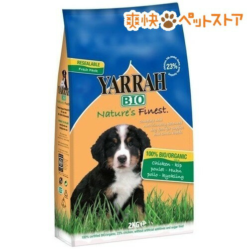 顼 ˥åɥåա ѥԡ 2kg̵[顼]
