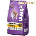 アイムス 子猫用 うまみチキン味(3kg)【アイムス】[キャットフード ドライ]