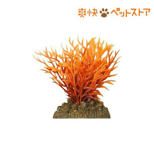 アクアティックプランツ S-3(1コ入)【アクアティックプランツ】[熱帯魚 アクアリウム 水草]アクアティックプランツ S-3 / アクアティックプランツ / 熱帯魚 アクアリウム 水草★税込1980円以上で送料無料★