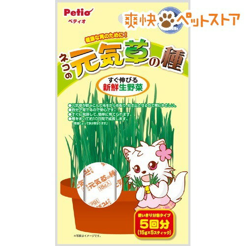 【ラクーポンで割引】ペティオ ネコの元気草の種(15g*5包入)【ペティオ(Petio)】[猫草]