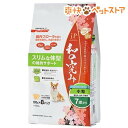 ジェーピースタイル 和の究みセレクトヘルスケア スリムな体型...