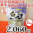 平成29年産新米☆特別栽培米中魚沼産コシヒカリ2kg(大島さ...