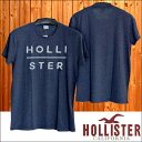 【送料無料】【セール】 ホリスター メンズ Tシャツ HOLLISTER インポート ブランド ファッション カジュアル Safari サファリ 雑誌 掲載 アメカジ サーフ スタイル 正規 商品