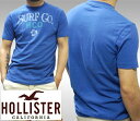 【送料無料】【セール】 ホリスター メンズ Tシャツ HOLLISTER インポート ブランド ファッション カジュアル Safari サファリ 雑誌 掲載 アメカジ サーフ スタイル 正規 商品