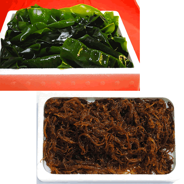 【初回限定】高級生わかめ300g＋沖縄産太もずく500g（送料無料）