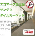 ĶͥǤ󥲥NT-250eco20ʾ夫Ǥ...