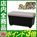 【お得な2個セット】RV BOX エコロジーカラー00 ブラ...
