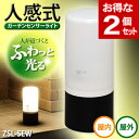 屋内でも屋外でも使える！電池式 ガーデンセンサーライト ZSL-SEW2,100円以上で送料無料！[期間延長♪11/7am9:59まで]