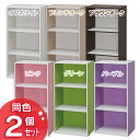 【同色2個セット】アイリスオーヤマ デザインカラーボックス DCX-3 全6色【ペイズリー】