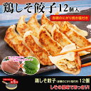餃子【大阪王将】鶏しそ餃子 12個入(特製赤穂の塩付き)ギョーザ