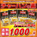 【大阪王将】チャーハンの素/送料無料1,000円ポッキリ! ...