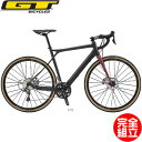 GT ジーティー 2019年モデル GRADE CARBON...