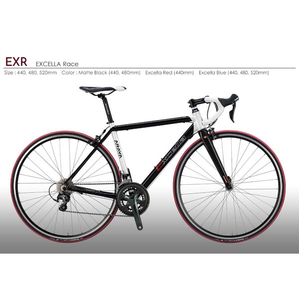 （販売価格はお問い合わせください）アラヤ エクセラレース 2019年モデルの画像