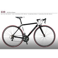 (販売価格はお問い合わせください)アラヤ エクセラレース 2019年モデルの画像