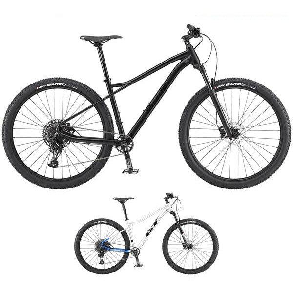 GT ジーティー 2020年モデル AVALANCHE EXPERT 29 アバランチェ エキスパート 29インチ マウンテンバイクの画像