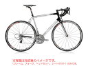 【CERVELO◆サーベロ】 RS 【2010モデル】
