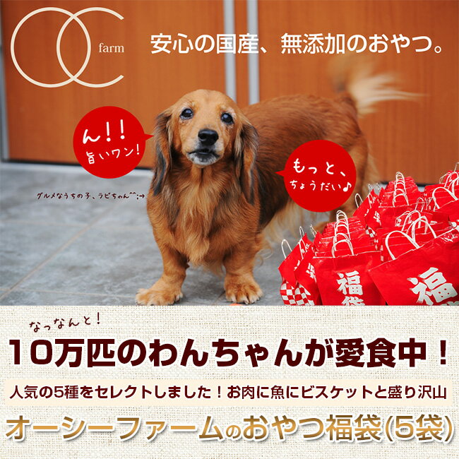 国産 無添加 犬用おやつ オーシーファーム 人気5商品を詰め込んだ福袋♪ 初回限定！この機にぜひともお試しを！お一人様何袋でもOK！≪初回購入者に限定販売！≫