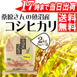 ≪送料無料≫【平成28年産】安心・安全〔特別栽培米〕桑原さんの魚沼産コシヒカリ2kg※送料無料は一部地域を除きます。【あす楽対応_本州】【あす楽対応_関東】【あす楽対応_四国】02P03Dec16