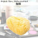 海綿チャコット フォー プロフェッショナルズ返品交換不可...
