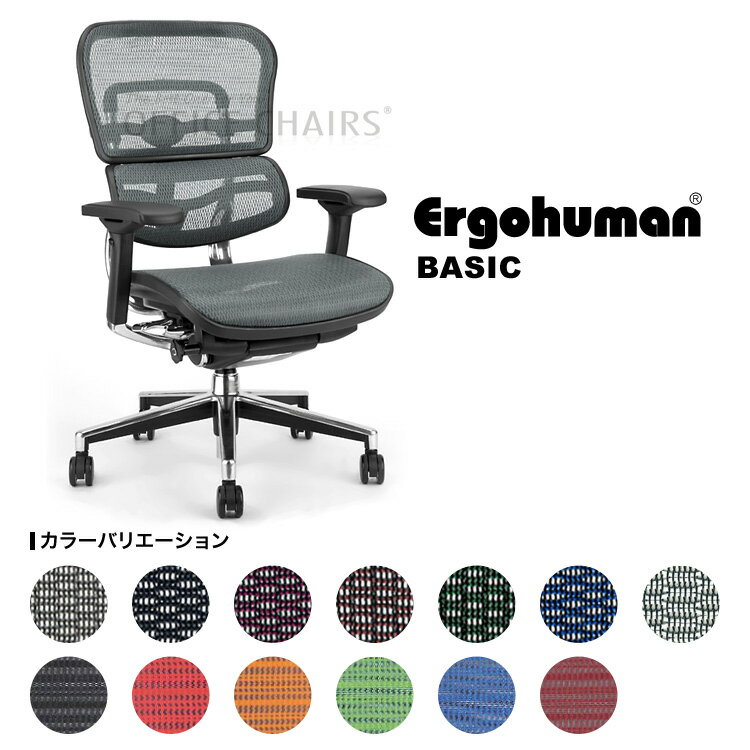 最新型[Ergohuman]エルゴヒューマン ベーシック（EH-LAM）ハイブリッド【肘付】【送料無料】【EGP】完成品お届け（組立て済）【SBZcou1208】