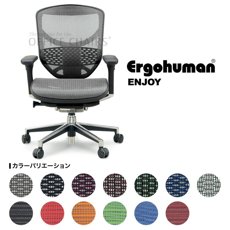 最新型[Ergohuman]エンジョイ（ENJOY-L）ハイブリッドレバー【肘付・ランバーサポート付】【お客様組立】【高機能メッシュチェア　エルゴヒューマンチェア】【送料無料】エルゴヒューマン【SBZcou1208】