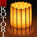  Ȳ Τ-KOTORI-  T-LIGHT S 100H120 ۤĤܤǤ䳫ϡ衼åѤǤTLIGHTȸƤФȤƤ륭ɥ饤ȢȲ Τ-KOTORI-T-LIGHT S 100H120̿աˡ