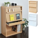 フラップシェルフ 2枚扉 キャビネット 幅600×奥行290×高さ900mm/JKP-fr-045 フラップチェスト リビング収納 ディスプレイ収納 ラック 幅60cm 木製 書棚 書庫 壁面収納【6BOXシリーズ】