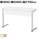 研修デスク 2人用 引出しなし 幅1200×奥行450×高さ700mmセミナーデスク セミナーテーブル 研修テーブル 学習用デスク 折りたたみデスク 折りたたみテーブル デスク テーブル 会議室 ミーティングルーム 学校 学習塾