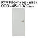 TFドアパネル TF-0919D-R W4 幅900×奥行45×高さ1920mm