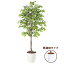 送料無料【ベンジャミナ スプラッシュ 懸崖鉢タイプ】W80cm×H180cmフェイクグリーン 人工観葉植物 インテリアグリーン オフィスグリーン 人工樹木 造花ベンジャミナ
