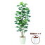 送料無料【シェフレラ 懸崖鉢タイプ】W85cm×H180cmフェイクグリーン 人工観葉植物 インテリアグリーン オフィスグリーン 人工樹木 造花 脱臭 抗菌 抗ウイルス 事務所 オフィス お祝い 開店祝いシェフレラ/カポック