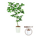 送料無料 新商品【ベンガル ボダイジュ FST 懸崖鉢タイプ】W80cm×H150cmフェイクグリーン 人工観葉植物 インテリアグリーン オフィスグリーン 人工樹木 造花ボダイジュ/バンヤン