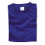 Artec(アーテック) カラーTシャツ L 032 ロイヤルブルー #38721