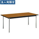 ライオン事務器 ミーティング用テーブル DAKタイプ 角型 W1800×D1200×H700mm DAK-1812『代引不可』『送料無料(一部地域除く)』