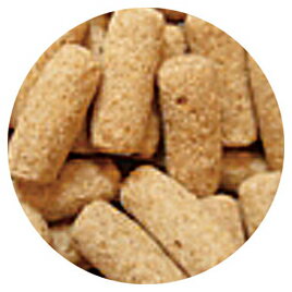 カメのごはん 納豆菌 お徳用 【イトスイ】