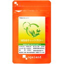 MSM & キャッツクロー(約3ヶ月分)送料無料 MSM キ...