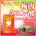 【梅肉クエン酸】250mg×90粒(約1ヶ月分)送料無料福袋と同梱がおすすめサプリメント/梅エキス/ムメフラール配合 元気 健康 オーガランド 家族 夏 supplement【F】