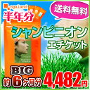 BIGシャンピニオンエチケット(約6ヶ月分)◆半年分◆ 送料...