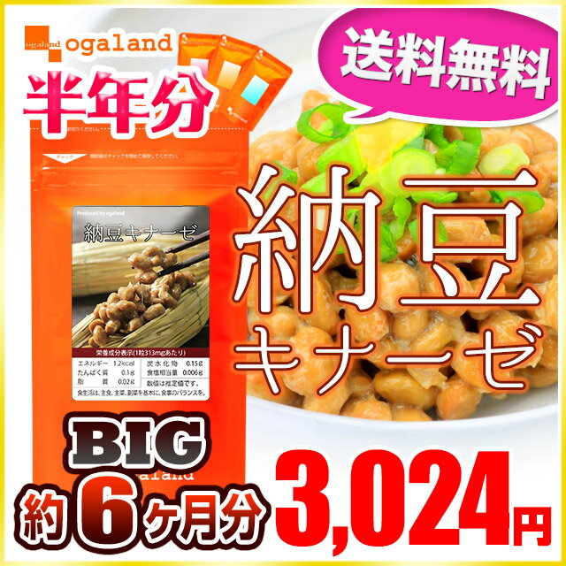 BIG納豆キナーゼ（約6ヶ月分）◆半年分対象商品◆ 送料無料 大容量 ナットウキナーゼ サ…...:oga:10127266