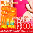 コレウスフォルスコリ(12個セット・約1年分) 送料無料 運動時のダイエットサポート 燃焼系ダイエット フォルスコリ サプリメント コレウス フォルスコリン 大容量 福袋 _S20