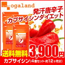 お徳用カプサイシン(4個セット・約1年分) 送料無料 燃焼系 ダイエット サポートに! サプリメント サプリ 唐辛子 Diet ビール酵母 必須アミノ酸 ウーロン茶 エイジングケア _B5