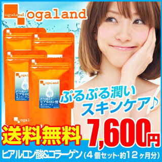 【送料無料】〓【.お徳用W低分子ヒアルロン酸＆コラーゲン】〓（4個セット・約1年分）◆送料無料オーガランド　サプリ サプリメント ヒアルロン酸 乾燥 保湿ケア 10P05Nov16