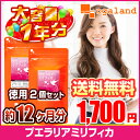お徳用プエラリアミリフィカ(2個セット・約12ヶ月分)◆1年分◆ 送料無料 プエラリアミリフィカ末を1粒あたり200mg配合 バストケア サプリメント 女性らしいボディライン バスト マッサージと一緒に 大容量 サプリ