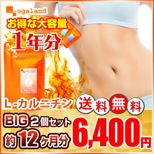 カルニチン オーガランド サプリメント ダイエット