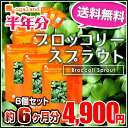 ブロッコリースプラウト(6個セット・約6ヶ月分)◆半年分対象商品◆ 送料無料 ブロッコリー スルフォラファン ミネラル ビタミン スーパーフードオーガランド サプリメント サプリ【M】