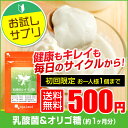 乳酸菌&オリゴ糖(約1ヶ月分)★お試し初回限定★ 送料無料 ...
