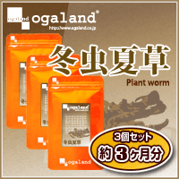 〓【冬虫夏草】〓（3個セット・約3ヶ月分）300mg×270粒(蚕虫華草/冬虫花草)健康サプリメント3150円以上で送料無料本日最大ポイント17倍！アミノ酸や美容や生活習慣が気になる方へおすすめのビタミン、ミネラルが豊富