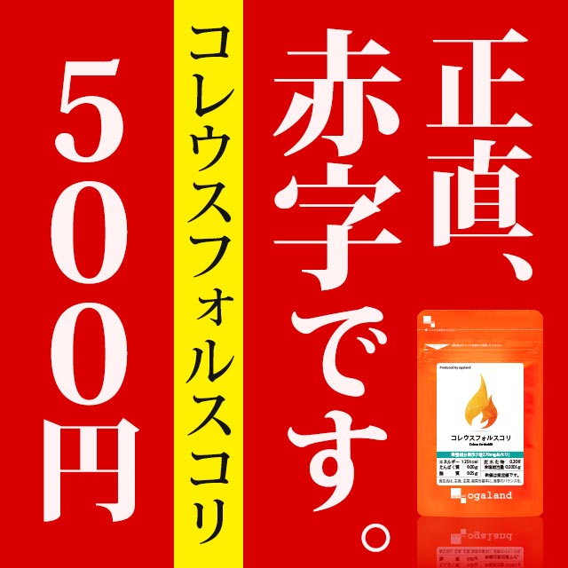 ※日時指定不可【楽天店先行リニューアル】ワンコイン 緊急ダイエット応援フェア ※お1人様5個まで コレウスフォルスコリ ダイエット サプリ 約1ヶ月分 イヌリン 送料無料 食物繊維 サプリメント 【KEEP】 _JD_在管