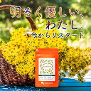 GABA サプリ セントジョーンズワート(約6ヶ月分) 送料無料 サプリ サプリメント ギャバ セントジョーンズワート配合 リラックス オーガランド セントジョンズワート 健康 美容 大容量 福袋 【M】 【半年分】_A10_JB_JH