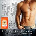 トンカットアリ&アカガウクルア(60粒) 送料無料 サプリメント サプリ 大人の元気・男性の毎日をサポート! オーガランド マムシ L-シトルリン L-オルニチン マカ 亜鉛 健康 美容 【M】 _B5